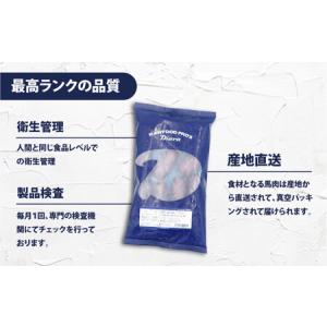 ふるさと納税 【全3回定期便】【犬猫用・ペット...の詳細画像3