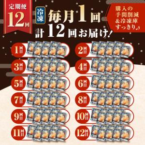 ふるさと納税 【 全12回 定期便 】鹿児島県...の詳細画像1
