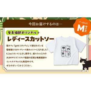 ふるさと納税 【 奄美 の 保護猫支援 ( 保...の詳細画像2