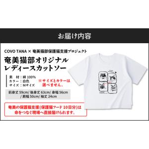 ふるさと納税 【 奄美 の 保護猫支援 ( 保...の詳細画像4
