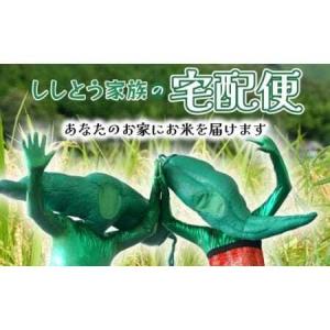 ふるさと納税 ししとう家族の宅配便? 高知県三原村
