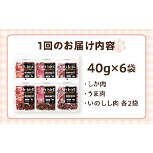 ふるさと納税 【全12回定期便】Softbit...の詳細画像4