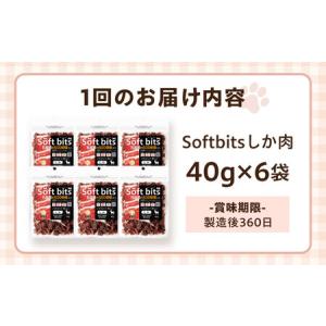 ふるさと納税 【全12回定期便】Softbit...の詳細画像4