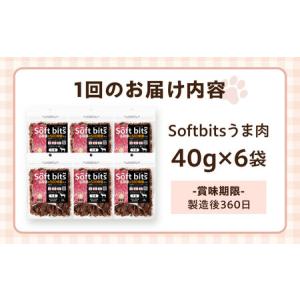 ふるさと納税 【全12回定期便】Softbit...の詳細画像4