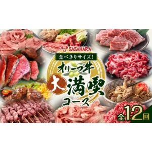 ふるさと納税 【全12回】食べきりサイズ！オリーブ牛の大満喫コース 香川県高松市