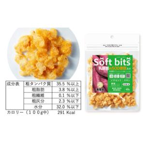 ふるさと納税 【全12回定期便】Softbit...の詳細画像1