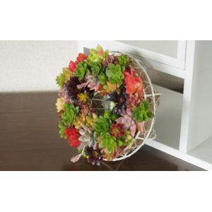 ふるさと納税 多肉 寄せ植え サークルハンキン...の詳細画像2