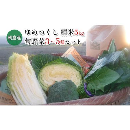 ふるさと納税 米 5kg 季節野菜 セット 精米 ゆめつくし 福岡県朝倉市