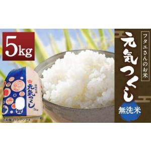 ふるさと納税 フタエさんのお米 元気つくし 5kg 無洗米 うるち米 ごはん 白米 福岡県筑後市