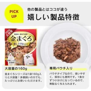 ふるさと納税 【隔月6回 定期便】金まぐろ 猫...の詳細画像3