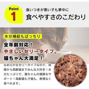 ふるさと納税 【隔月6回 定期便】金まぐろ 猫...の詳細画像1