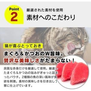 ふるさと納税 【隔月6回 定期便】金かつお 猫...の詳細画像2