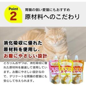 ふるさと納税 【隔月6回 定期便】PLCとろり...の詳細画像2