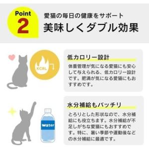 ふるさと納税 【隔月6回 定期便】とろーりおや...の詳細画像2