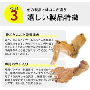 ふるさと納税 【隔月6回 定期便】無添加・無着...の詳細画像3