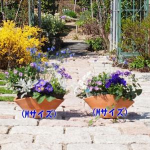 ふるさと納税 ブルー・パープルの寄せ植え(舟形...の詳細画像1