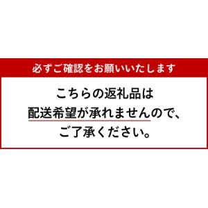 ふるさと納税 Large Size/みたされグ...の詳細画像2