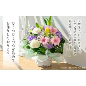 ふるさと納税 定期便 ≪6ヶ月連続お届け≫ 季...の詳細画像3