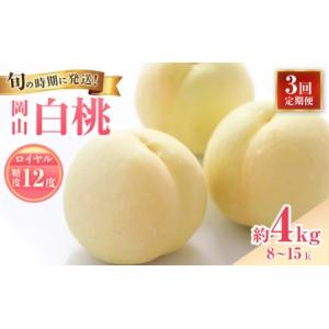 ふるさと納税 【2026年先行受付】 白桃 3回 定期便 特秀 ロイヤル 大玉 岡山県産 桃 もも モモ 御中元 ギフト 御礼 プレゼント 御礼 御祝 御供 .. 岡山県玉野市