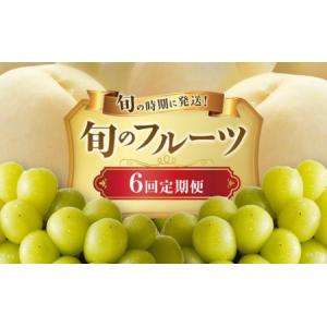 ふるさと納税 【2026年先行受付】 白桃 シャインマスカット 晴王 6回 定期便 桃 ぶどう 岡山県産 御中元 ギフト 御礼 プレゼント 御礼 御祝 御供.. 岡山県玉野市