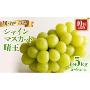 ふるさと納税 【2026年先行受付】 シャインマスカット 晴王 10回 定期便 秀品 大房 岡山県産 ぶどう ギフト 御礼 プレゼント 御礼 御祝 御供 果.. 岡山県玉野市