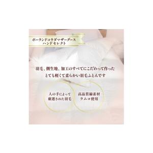 ふるさと納税 【カバー付き ネイビー】羽毛ふと...の詳細画像1