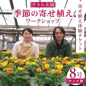 ふるさと納税 行方市の花農家「すみれ花園」季節の寄せ植えワークショップ(8号サイズ鉢)｜花 お花 季節の花 ワークショップ 体験 体験チケット .. 茨城県行方市
