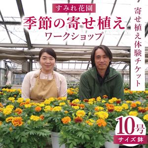 ふるさと納税 行方市の花農家「すみれ花園」季節の寄せ植えワークショップ(10号サイズ鉢)｜花 お花 季節の花 ワークショップ 体験 体験チケット .. 茨城県行方市