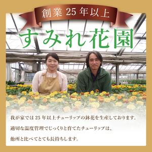 ふるさと納税 行方市の花農家「すみれ花園」季節...の詳細画像1