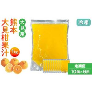 ふるさと納税 大見柑果汁 冷凍 1kg入り 10個×6回定期便 熊本県宇城市