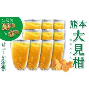 ふるさと納税 熊本大見柑ピューレ 冷凍 1kg 10個×6回 熊本県宇城市