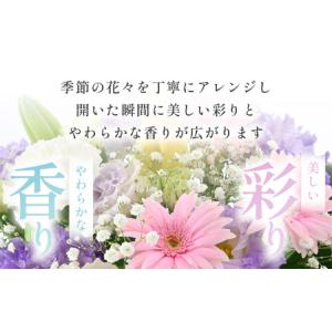 ふるさと納税 定期便 ≪12ヶ月連続お届け≫ ...の詳細画像2