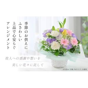 ふるさと納税 定期便 ≪12ヶ月連続お届け≫ ...の詳細画像1