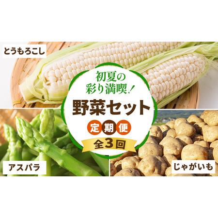 ふるさと納税 【2026年春〜秋発送】定期便 3ヵ月 初夏の彩り満喫 野菜セット 全3回 （ 野菜 ...