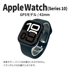 ふるさと納税 【数量限定】Apple Watch Series10 42mm GPSモデル 宮城県仙...