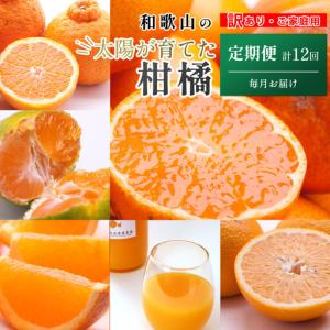 ふるさと納税 家庭用 柑橘定期便M(毎月)全12...の商品画像