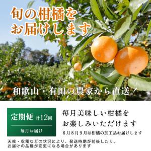 ふるさと納税 家庭用 柑橘定期便M(毎月)全1...の詳細画像1