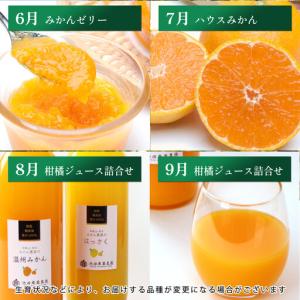 ふるさと納税 家庭用 柑橘定期便M(毎月)全1...の詳細画像4