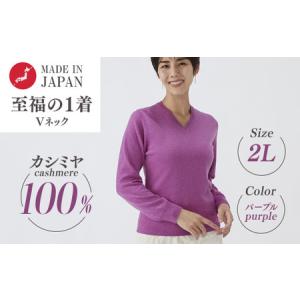 ふるさと納税 日本製 カシミヤ100% レディース Vネック パープル 2Lサイズ 大阪府泉大津市