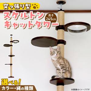 ふるさと納税 スケルトンキャットタワー LB-HM（高さ245cm） _ キャットタワー スケルトン 突っ張り型 猫 猫用 透明 クリアボウル 家具調仕上.. 福岡県久留米市