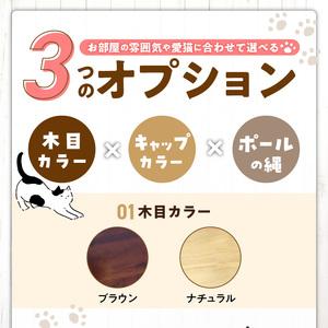 ふるさと納税 スケルトンブリッジタワーBLB-...の詳細画像2