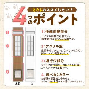 ふるさと納税 中型犬用フリードア DFM-19...の詳細画像2