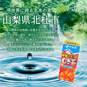 ふるさと納税 【6ヶ月定期便】健康ミネラルむぎ...の詳細画像3