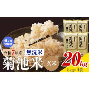 ふるさと納税 【6ヶ月定期便】熊本県産 菊池米 玄米 無洗米 20kg 1袋5kg 米 お米 令和7年産 九州産 熊本県産 送料無料《お申込み翌月に出荷予定.. 熊本県菊池市