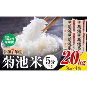 ふるさと納税 【12ヶ月定期便】令和7年産 熊本県産 菊池米 5分づき 20kg 1袋5kg 株式会社くまもとごはん 《お申込み翌月に出荷予定》米 お米 令.. 熊本県菊池市