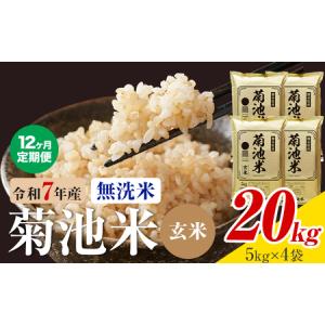 ふるさと納税 【12ヶ月定期便】熊本県産 菊池米 玄米 無洗米 20kg 1袋5kg 米 お米 令和7年産 九州産 熊本県産 送料無料《お申込み翌月に出荷予定.. 熊本県菊池市