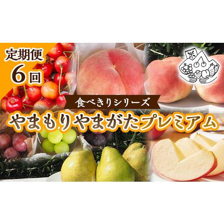 ふるさと納税 【定期便6回】★食べきりシリーズ★やまもりやまがたプレミアム【令和8年産先行予約】FS...