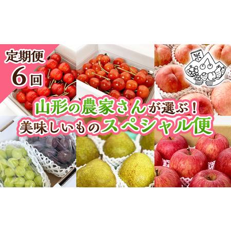 ふるさと納税 【定期便6回】山形の農家さんが選ぶ！美味しいものスペシャル便【令和8年産先行予約】FS...