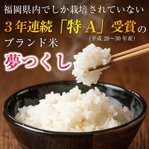 ふるさと納税 福岡県産 夢つくし 20kg 配...の詳細画像1
