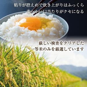 ふるさと納税 福岡県産 夢つくし 20kg 配...の詳細画像2